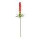 GloboStar® Artificial Garden RED GINGER BUD BRANCH 21393 Τεχνητό Διακοσμητικό Κόκκινο Κλαδί Ginger Y124cm GloboStar® Artificial Garden RED GINGER BUD BRANCH 21393 Τεχνητό Διακοσμητικό Κόκκινο Κλαδί Ginger Y124cm