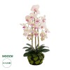 GloboStar® Artificial Garden BUTTERFLY ORCHID BONSAI 21400 Τεχνητό Διακοσμητικό Φυτό Ορχιδέα Μ34 x Π27 x Υ65cm