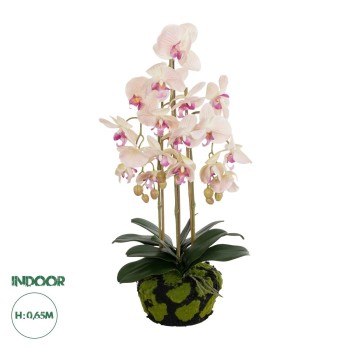 GloboStar® Artificial Garden BUTTERFLY ORCHID BONSAI 21400 Τεχνητό Διακοσμητικό Φυτό Ορχιδέα Μ34 x Π27 x Υ65cm