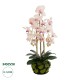 GloboStar® Artificial Garden BUTTERFLY ORCHID BONSAI 21400 Τεχνητό Διακοσμητικό Φυτό Ορχιδέα Μ34 x Π27 x Υ65cm GloboStar® Artificial Garden BUTTERFLY ORCHID BONSAI 21400 Τεχνητό Διακοσμητικό Φυτό Ορχιδέα Μ34 x Π27 x Υ65cm