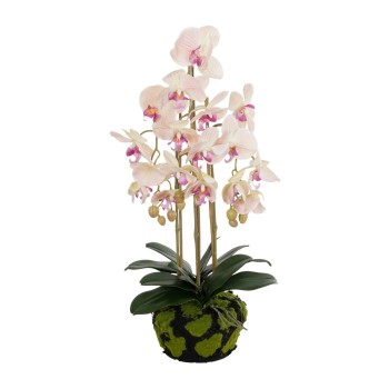 GloboStar® Artificial Garden BUTTERFLY ORCHID BONSAI 21400 Τεχνητό Διακοσμητικό Φυτό Ορχιδέα Μ34 x Π27 x Υ65cm