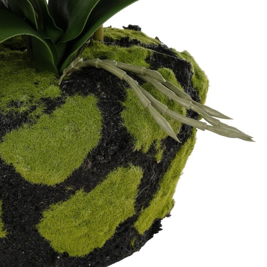 GloboStar® Artificial Garden BUTTERFLY ORCHID BONSAI 21400 Τεχνητό Διακοσμητικό Φυτό Ορχιδέα Μ34 x Π27 x Υ65cm GloboStar® Artificial Garden BUTTERFLY ORCHID BONSAI 21400 Τεχνητό Διακοσμητικό Φυτό Ορχιδέα Μ34 x Π27 x Υ65cm