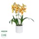 GloboStar® Artificial Garden YELLOW CHERRY CUMBIDIUM 21401 Διακοσμητικό Φυτό Κίτρινο Κυμβίδιο Υ60cm GloboStar® Artificial Garden YELLOW CHERRY CUMBIDIUM 21401 Διακοσμητικό Φυτό Κίτρινο Κυμβίδιο Υ60cm