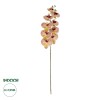 GloboStar® Artificial Garden PING SALMON ORCHID BRANCH 21405 Τεχνητό Διακοσμητικό Κλαδί  Ροζ Ορχιδέα Y95cm