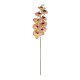 GloboStar® Artificial Garden PING SALMON ORCHID BRANCH 21405 Τεχνητό Διακοσμητικό Κλαδί Ροζ Ορχιδέα Y95cm GloboStar® Artificial Garden PING SALMON ORCHID BRANCH 21405 Τεχνητό Διακοσμητικό Κλαδί Ροζ Ορχιδέα Y95cm