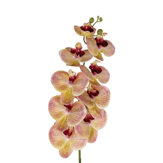 GloboStar® Artificial Garden PING SALMON ORCHID BRANCH 21405 Τεχνητό Διακοσμητικό Κλαδί Ροζ Ορχιδέα Y95cm GloboStar® Artificial Garden PING SALMON ORCHID BRANCH 21405 Τεχνητό Διακοσμητικό Κλαδί Ροζ Ορχιδέα Y95cm