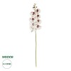 GloboStar® Artificial Garden WHITE ORCHID BRANCH 21406 Τεχνητό Διακοσμητικό Κλαδί Λευκή Ορχιδέα Y95cm