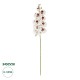 GloboStar® Artificial Garden WHITE ORCHID BRANCH 21406 Τεχνητό Διακοσμητικό Κλαδί Λευκή Ορχιδέα Y95cm GloboStar® Artificial Garden WHITE ORCHID BRANCH 21406 Τεχνητό Διακοσμητικό Κλαδί Λευκή Ορχιδέα Y95cm