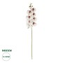 GloboStar® Artificial Garden WHITE ORCHID BRANCH 21406 Τεχνητό Διακοσμητικό Κλαδί Λευκή Ορχιδέα Y95cm