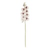 GloboStar® Artificial Garden WHITE ORCHID BRANCH 21406 Τεχνητό Διακοσμητικό Κλαδί Λευκή Ορχιδέα Y95cm