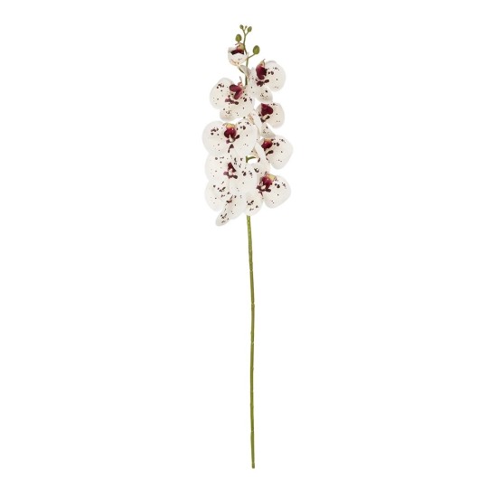 GloboStar® Artificial Garden WHITE ORCHID BRANCH 21406 Τεχνητό Διακοσμητικό Κλαδί Λευκή Ορχιδέα Y95cm GloboStar® Artificial Garden WHITE ORCHID BRANCH 21406 Τεχνητό Διακοσμητικό Κλαδί Λευκή Ορχιδέα Y95cm