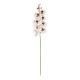 GloboStar® Artificial Garden WHITE ORCHID BRANCH 21406 Τεχνητό Διακοσμητικό Κλαδί Λευκή Ορχιδέα Y95cm GloboStar® Artificial Garden WHITE ORCHID BRANCH 21406 Τεχνητό Διακοσμητικό Κλαδί Λευκή Ορχιδέα Y95cm
