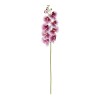 GloboStar® Artificial Garden PINK ORCHID BRANCH 21407 Τεχνητό Διακοσμητικό Κλαδί Ροζ Ορχιδέα Y95cm