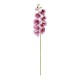 GloboStar® Artificial Garden PINK ORCHID BRANCH 21407 Τεχνητό Διακοσμητικό Κλαδί Ροζ Ορχιδέα Y95cm GloboStar® Artificial Garden PINK ORCHID BRANCH 21407 Τεχνητό Διακοσμητικό Κλαδί Ροζ Ορχιδέα Y95cm