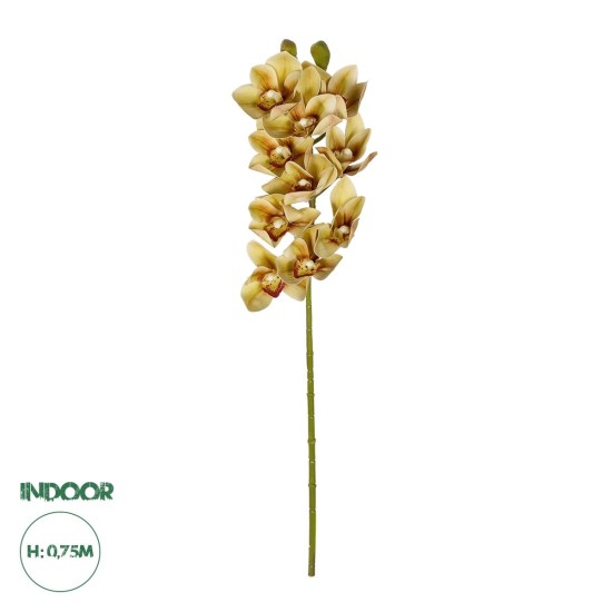 GloboStar® Artificial Garden CHAMPAGNE CYMBIDIUM BRANCH 21408 Τεχνητό Διακοσμητικό Κλαδί Σαμπανί Κυμβίδιο Y75cm GloboStar® Artificial Garden CHAMPAGNE CYMBIDIUM BRANCH 21408 Τεχνητό Διακοσμητικό Κλαδί Σαμπανί Κυμβίδιο Y75cm