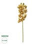 GloboStar® Artificial Garden CHAMPAGNE CYMBIDIUM BRANCH 21408 Τεχνητό Διακοσμητικό Κλαδί Σαμπανί Κυμβίδιο  Y75cm