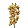 GloboStar® Artificial Garden CHAMPAGNE CYMBIDIUM BRANCH 21408 Τεχνητό Διακοσμητικό Κλαδί Σαμπανί Κυμβίδιο  Y75cm