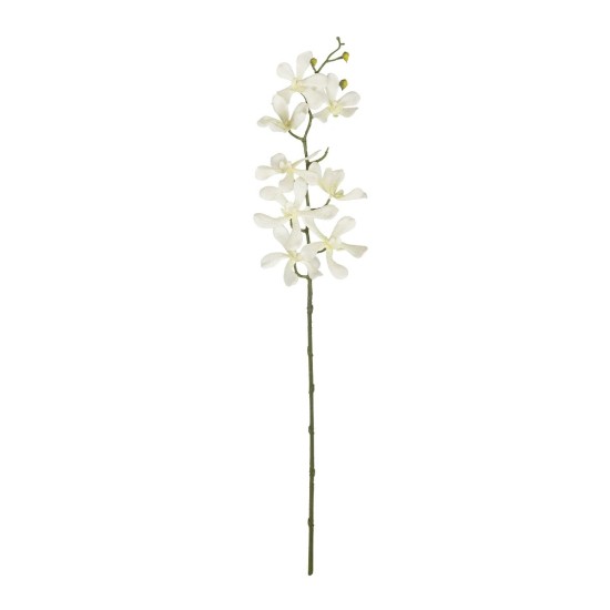 GloboStar® Artificial Garden WHITE VANDA ORCHID BRANCH 21409 Τεχνητό Διακοσμητικό Κλαδί Λευκή Ορχιδέα Y82cm GloboStar® Artificial Garden WHITE VANDA ORCHID BRANCH 21409 Τεχνητό Διακοσμητικό Κλαδί Λευκή Ορχιδέα Y82cm