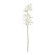 GloboStar® Artificial Garden WHITE VANDA ORCHID BRANCH 21409 Τεχνητό Διακοσμητικό Κλαδί Λευκή Ορχιδέα Y82cm GloboStar® Artificial Garden WHITE VANDA ORCHID BRANCH 21409 Τεχνητό Διακοσμητικό Κλαδί Λευκή Ορχιδέα Y82cm