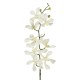 GloboStar® Artificial Garden WHITE VANDA ORCHID BRANCH 21409 Τεχνητό Διακοσμητικό Κλαδί Λευκή Ορχιδέα Y82cm GloboStar® Artificial Garden WHITE VANDA ORCHID BRANCH 21409 Τεχνητό Διακοσμητικό Κλαδί Λευκή Ορχιδέα Y82cm