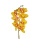 GloboStar® Artificial Garden YELLOW RED ORCHID BRANCH 21410 Τεχνητό Διακοσμητικό Κλαδί Κίτρινη Ορχιδέα Y70cm GloboStar® Artificial Garden YELLOW RED ORCHID BRANCH 21410 Τεχνητό Διακοσμητικό Κλαδί Κίτρινη Ορχιδέα Y70cm