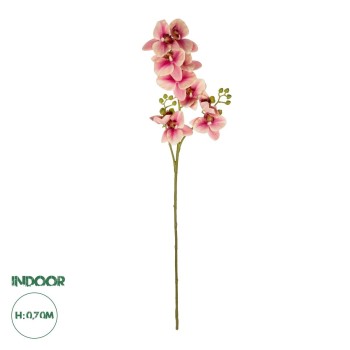GloboStar® Artificial Garden CHAMPAGNE PINK ORCHID  BRANCH 21411 Τεχνητό Διακοσμητικό Κλαδί Σαμπανί Ορχιδέα Y70cm