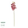 GloboStar® Artificial Garden  PINK ORCHID  BRANCH 21412 Τεχνητό Διακοσμητικό Κλαδί Ροζ Ορχιδέα Y70cm