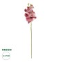 GloboStar® Artificial Garden  PINK ORCHID  BRANCH 21412 Τεχνητό Διακοσμητικό Κλαδί Ροζ Ορχιδέα Y70cm