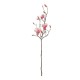 GloboStar® Artificial Garden WHITE - PINK MAGNOLIA 21416 Τεχνητό Διακοσμητικό Κλαδί Ροζ Μανόλια Μ30 x Π13 x Υ110cm GloboStar® Artificial Garden WHITE - PINK MAGNOLIA 21416 Τεχνητό Διακοσμητικό Κλαδί Ροζ Μανόλια Μ30 x Π13 x Υ110cm