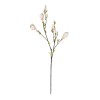 GloboStar® Artificial Garden CHAMPAGNE MAGNOLIA BRANCH 21423 Τεχνητό Διακοσμητικό Κλαδί Σαμπανί Μαγνόλια Y100cm
