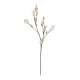GloboStar® Artificial Garden CHAMPAGNE MAGNOLIA BRANCH 21423 Τεχνητό Διακοσμητικό Κλαδί Σαμπανί Μαγνόλια Y100cm