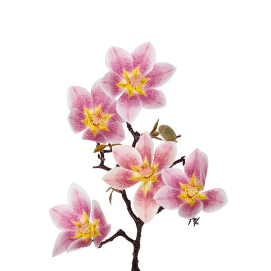GloboStar® Artificial Garden PING MAGNOLIA BRANCH 21424 Τεχνητό Διακοσμητικό Κλαδί Ροζ Μαγνόλια Y57cm GloboStar® Artificial Garden PING MAGNOLIA BRANCH 21424 Τεχνητό Διακοσμητικό Κλαδί Ροζ Μαγνόλια Y57cm