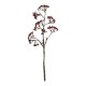 GloboStar® Artificial Garden RED HOLLY BERRIES FRUIT BRANCH 21427 Τεχνητό Διακοσμητικό Κλαδί Κόκκινο Γκί Y86cm GloboStar® Artificial Garden RED HOLLY BERRIES FRUIT BRANCH 21427 Τεχνητό Διακοσμητικό Κλαδί Κόκκινο Γκί Y86cm