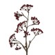 GloboStar® Artificial Garden RED HOLLY BERRIES FRUIT BRANCH 21427 Τεχνητό Διακοσμητικό Κλαδί Κόκκινο Γκί Y86cm GloboStar® Artificial Garden RED HOLLY BERRIES FRUIT BRANCH 21427 Τεχνητό Διακοσμητικό Κλαδί Κόκκινο Γκί Y86cm