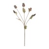 GloboStar® Artificial Garden POPPY FRUIT BRANCH 21432 Τεχνητό Διακοσμητικό Κλαδί Παπαρούνα Y62cm