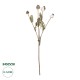 GloboStar® Artificial Garden POPPY FRUIT BRANCH 21433 Τεχνητό Διακοσμητικό Κλαδί Παπαρούνα Y60cm GloboStar® Artificial Garden POPPY FRUIT BRANCH 21433 Τεχνητό Διακοσμητικό Κλαδί Παπαρούνα Y60cm