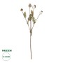 GloboStar® Artificial Garden POPPY FRUIT BRANCH 21433 Τεχνητό Διακοσμητικό Κλαδί Παπαρούνα Y60cm