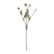 GloboStar® Artificial Garden POPPY FRUIT BRANCH 21433 Τεχνητό Διακοσμητικό Κλαδί Παπαρούνα Y60cm GloboStar® Artificial Garden POPPY FRUIT BRANCH 21433 Τεχνητό Διακοσμητικό Κλαδί Παπαρούνα Y60cm