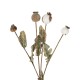 GloboStar® Artificial Garden POPPY FRUIT BRANCH 21433 Τεχνητό Διακοσμητικό Κλαδί Παπαρούνα Y60cm GloboStar® Artificial Garden POPPY FRUIT BRANCH 21433 Τεχνητό Διακοσμητικό Κλαδί Παπαρούνα Y60cm