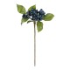 GloboStar® Artificial Garden BLUBERRIES FRUIT BRANCH 21434 Τεχνητό Διακοσμητικό Κλαδί Μπλε Μύρτιλο Y30cm GloboStar® Artificial Garden BLUBERRIES FRUIT BRANCH 21434 Τεχνητό Διακοσμητικό Κλαδί Μπλε Μύρτιλο Y30cm