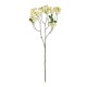 GloboStar® Artificial Garden WHITE BERRIES FRUIT BRANCH 21446 Τεχνητό Διακοσμητικό Κλαδί Λευκό Γκί Y71cm GloboStar® Artificial Garden WHITE BERRIES FRUIT BRANCH 21446 Τεχνητό Διακοσμητικό Κλαδί Λευκό Γκί Y71cm