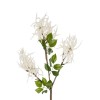 GloboStar® Artificial Garden WHITE AMARANTHUS FRUIT BRANCH 21447 Τεχνητό Διακοσμητικό Κλαδί Λευκός Αμάρανθος Y95cm