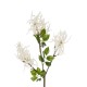 GloboStar® Artificial Garden WHITE AMARANTHUS FRUIT BRANCH 21447 Τεχνητό Διακοσμητικό Κλαδί Λευκός Αμάρανθος Y95cm GloboStar® Artificial Garden WHITE AMARANTHUS FRUIT BRANCH 21447 Τεχνητό Διακοσμητικό Κλαδί Λευκός Αμάρανθος Y95cm