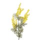 GloboStar® Artificial Garden YELLOW MIMOSA FRUIT BRANCH 21451 Τεχνητό Διακοσμητικό Κλαδί Κίτρινη Μιμόζα Y76cm GloboStar® Artificial Garden YELLOW MIMOSA FRUIT BRANCH 21451 Τεχνητό Διακοσμητικό Κλαδί Κίτρινη Μιμόζα Y76cm
