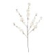 GloboStar® Artificial Garden WHITE GUAXIA FLOWER BRANCH 21456 Τεχνητό Διακοσμητικό Κλαδί Λευκή Γκουάβα Y100cm GloboStar® Artificial Garden WHITE GUAXIA FLOWER BRANCH 21456 Τεχνητό Διακοσμητικό Κλαδί Λευκή Γκουάβα Y100cm