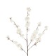 GloboStar® Artificial Garden WHITE GUAXIA FLOWER BRANCH 21456 Τεχνητό Διακοσμητικό Κλαδί Λευκή Γκουάβα Y100cm GloboStar® Artificial Garden WHITE GUAXIA FLOWER BRANCH 21456 Τεχνητό Διακοσμητικό Κλαδί Λευκή Γκουάβα Y100cm