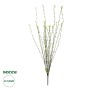 GloboStar® Artificial Garden GREEN WILLOW FLOWER BRANCH 21458 Τεχνητό Διακοσμητικό Κλαδί Λευκή Ιτιά Y86cm