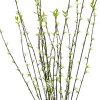 GloboStar® Artificial Garden GREEN WILLOW FLOWER BRANCH 21458 Τεχνητό Διακοσμητικό Κλαδί Λευκή Ιτιά Y86cm