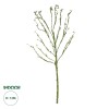 GloboStar® Artificial Garden BIG SPROUT BLOSSOM BRANCH 21461 Τεχνητό Διακοσμητικό Κλαδί Πράσινο Λάχανο Y150cm