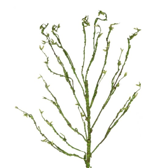 GloboStar® Artificial Garden BIG SPROUT BLOSSOM BRANCH 21461 Τεχνητό Διακοσμητικό Κλαδί Πράσινο Λάχανο Y150cm GloboStar® Artificial Garden BIG SPROUT BLOSSOM BRANCH 21461 Τεχνητό Διακοσμητικό Κλαδί Πράσινο Λάχανο Y150cm